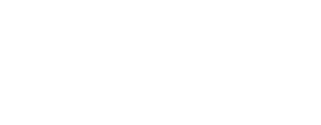 Vibrant Mobile Detail